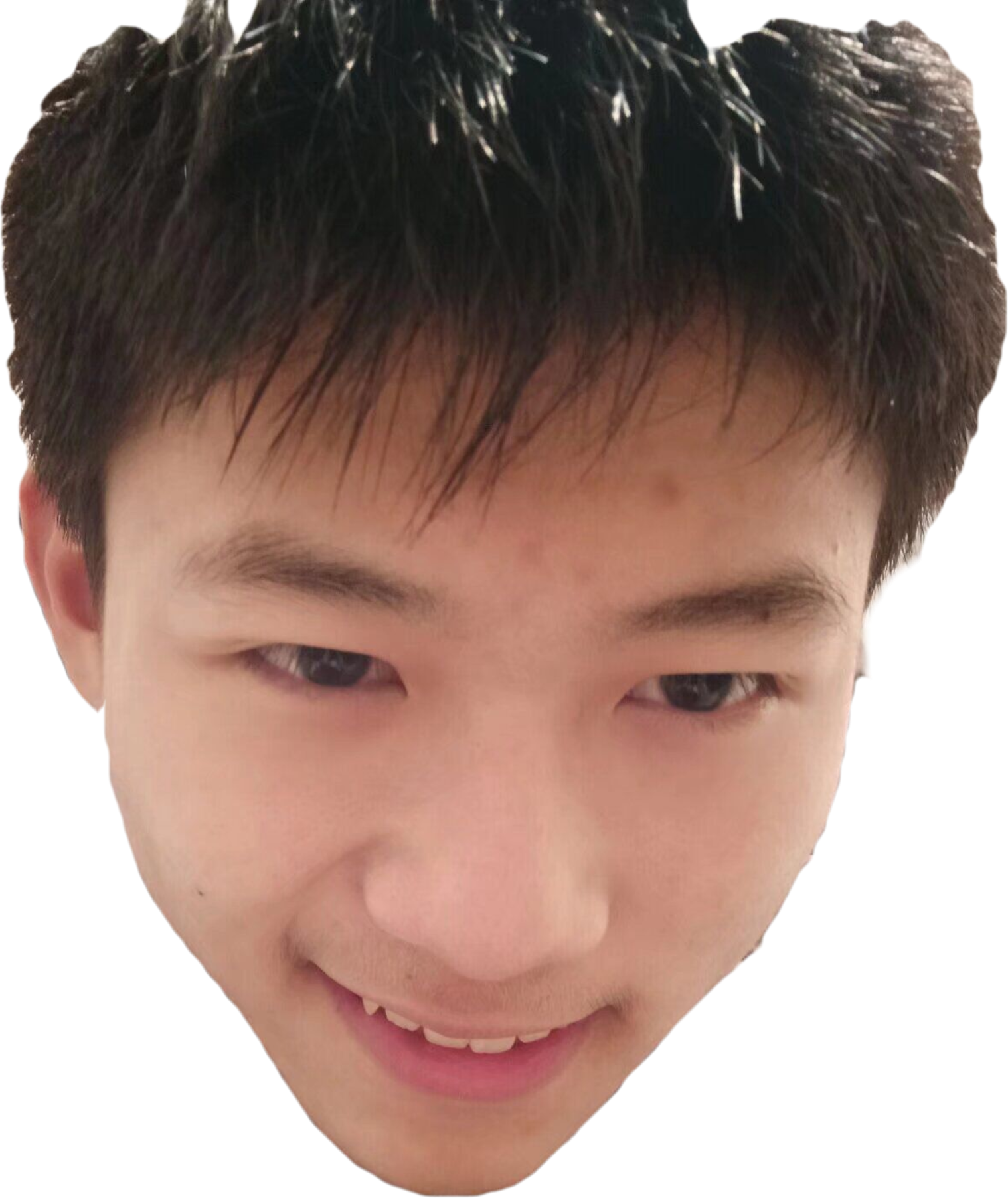 大狗